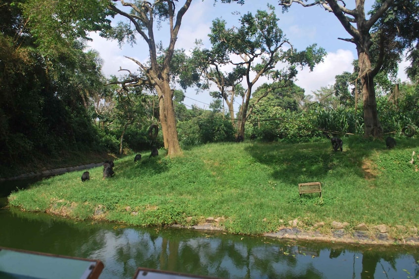 Picture 6 for Activity 1-Day Best of Entebbe City Guided Walking Tour