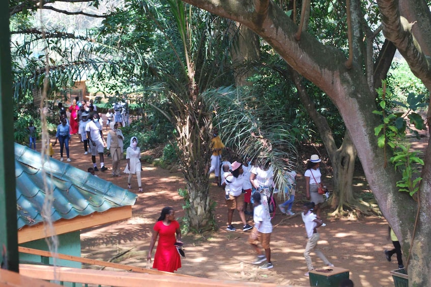 1-Day Best of Entebbe City Guided Walking Tour