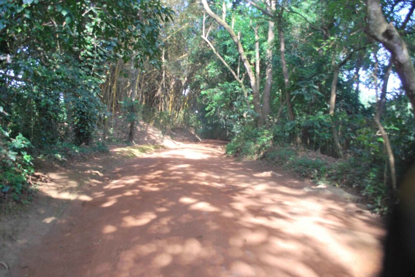 Picture 5 for Activity 1-Day Best of Entebbe City Guided Walking Tour