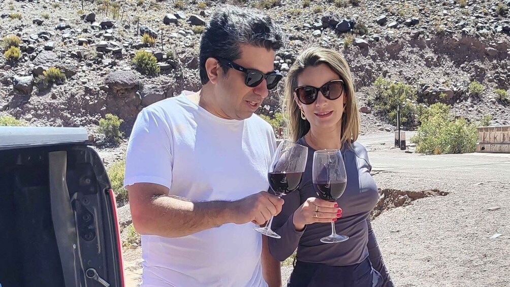 Picture 2 for Activity Mendoza : The best High Mountain Private tour - 4x4 style!