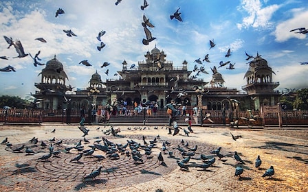 Jaipur: recorrido privado por los mejores lugares de Instagram y fotografía