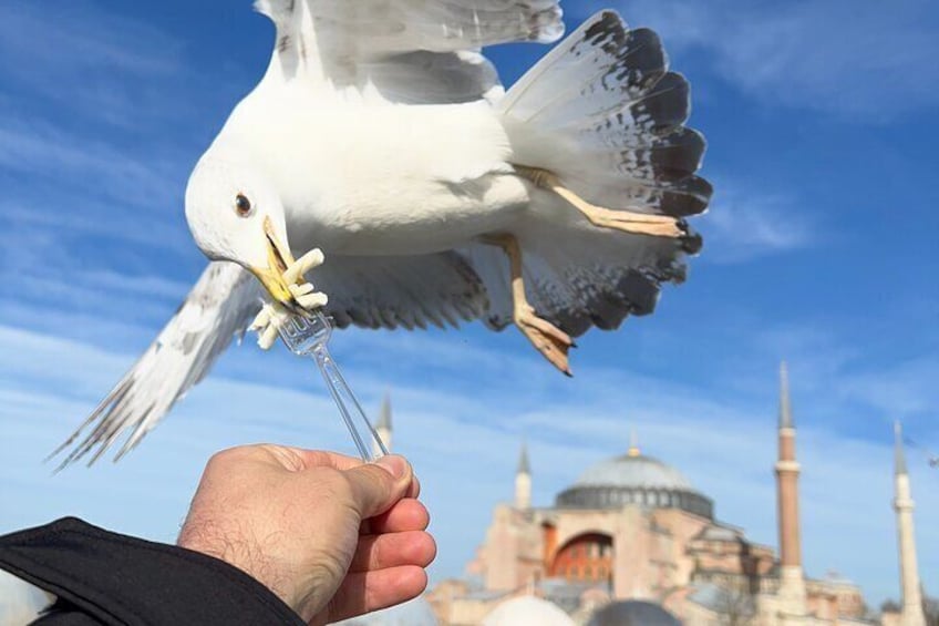 Luxury Private Istanbul Tour (allTickets and Transfers) VIP OSCAR