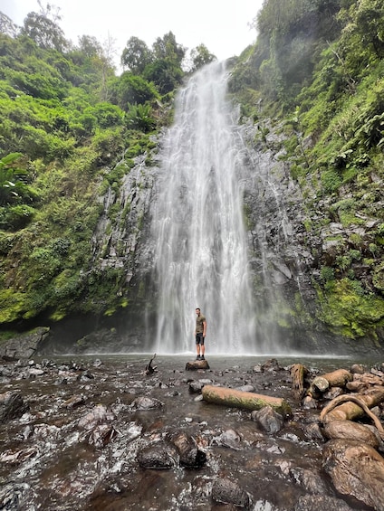 Picture 15 for Activity Kilimanjaro: Maasai village visit, waterfalls & coffee tour