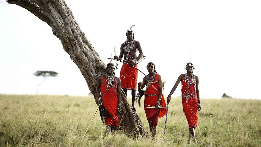 Picture 22 for Activity Kilimanjaro: Maasai Village Visit, Waterfalls, & Coffee Tour