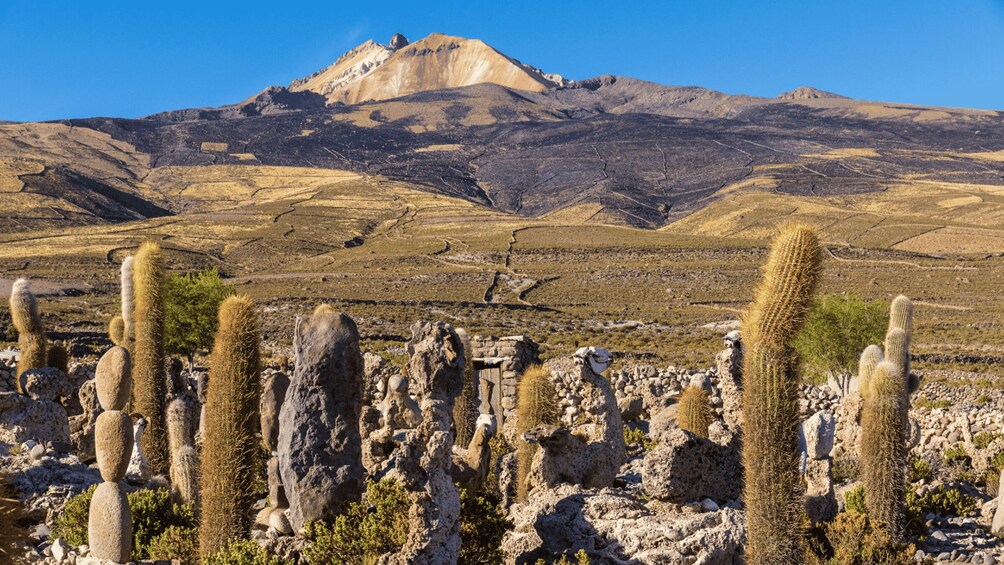 Picture 12 for Activity Uyuni Salt Flats 2-Day Private tour with Tunupa Volcano