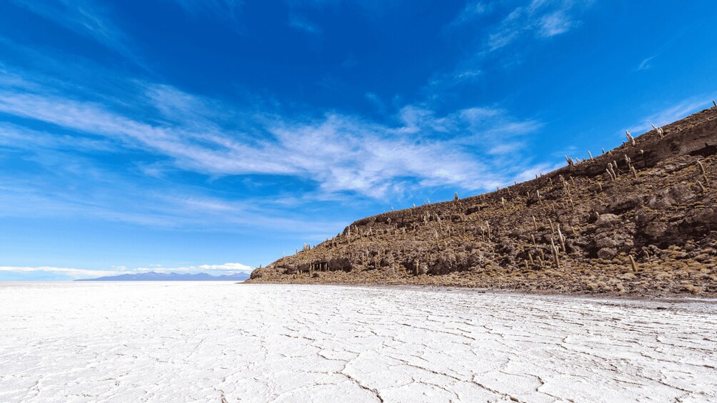 Picture 15 for Activity Uyuni Salt Flats 2-Day Private tour with Tunupa Volcano