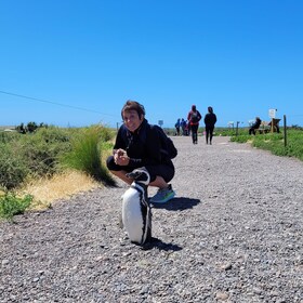 Punta Tombo for Norwegian & Princess Cruise Shore Excursion