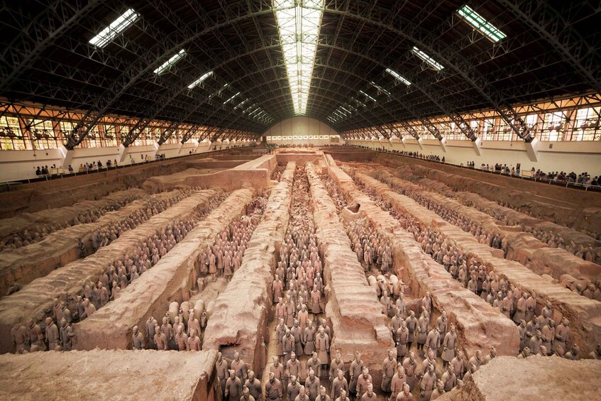 Private Half-day tour to the Terracotta Army Museum