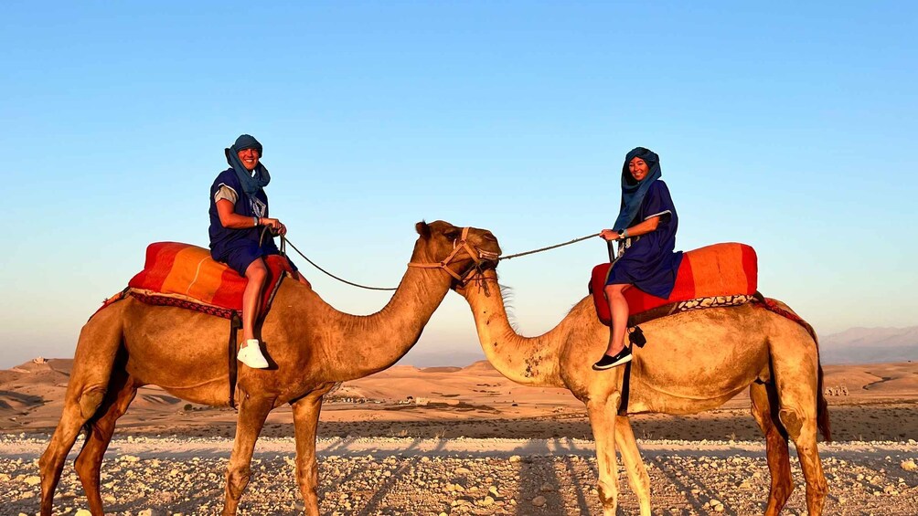 Picture 12 for Activity Agafay Desert Sunset Camel Ride