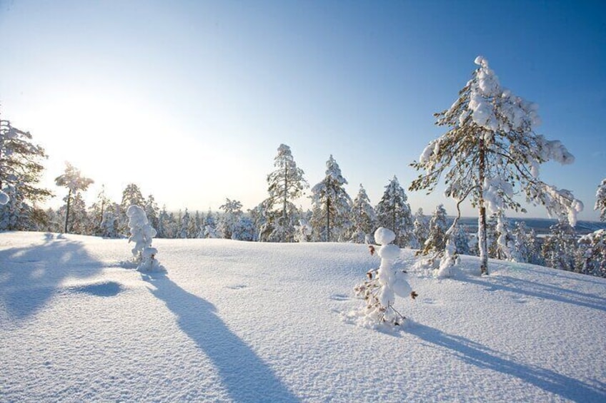 Snowshoe Trekking, Ice Fishing, and Grilling in Arctic Nature from Rovaniemi