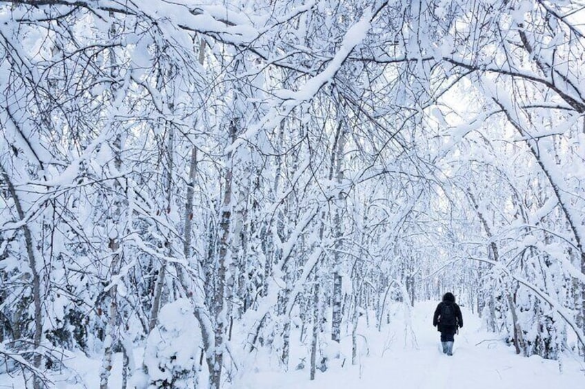 Snowshoe Trekking, Ice Fishing, and Grilling in Arctic Nature from Rovaniemi