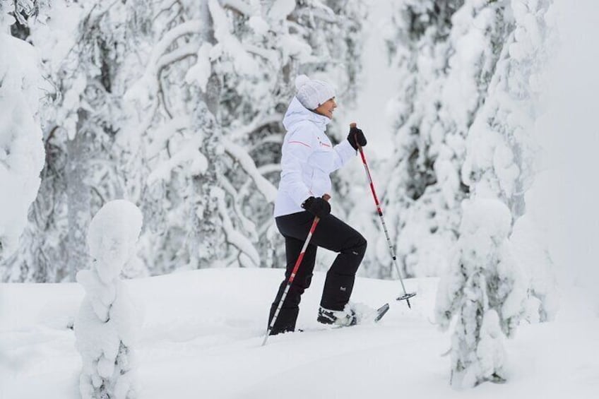 Snowshoe Trekking, Ice Fishing, and Grilling in Arctic Nature from Rovaniemi