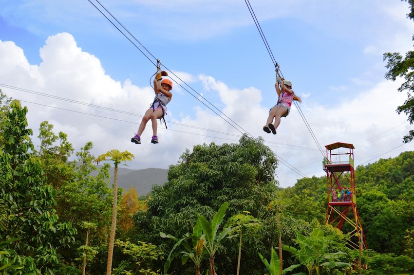 Two people ride a zip line in a jungle