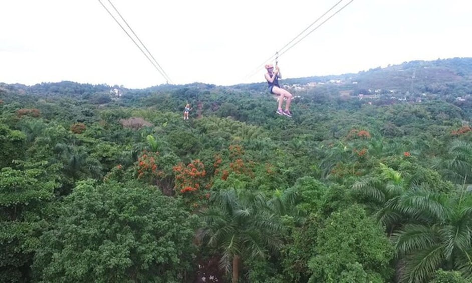 Combo Tour: Zipline Canopy & El Yunque Rainforest Hiking 