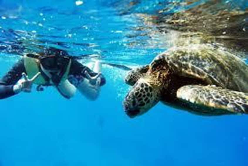 Culebra Snorkeling Tour with Visit to Flamenco Beach 