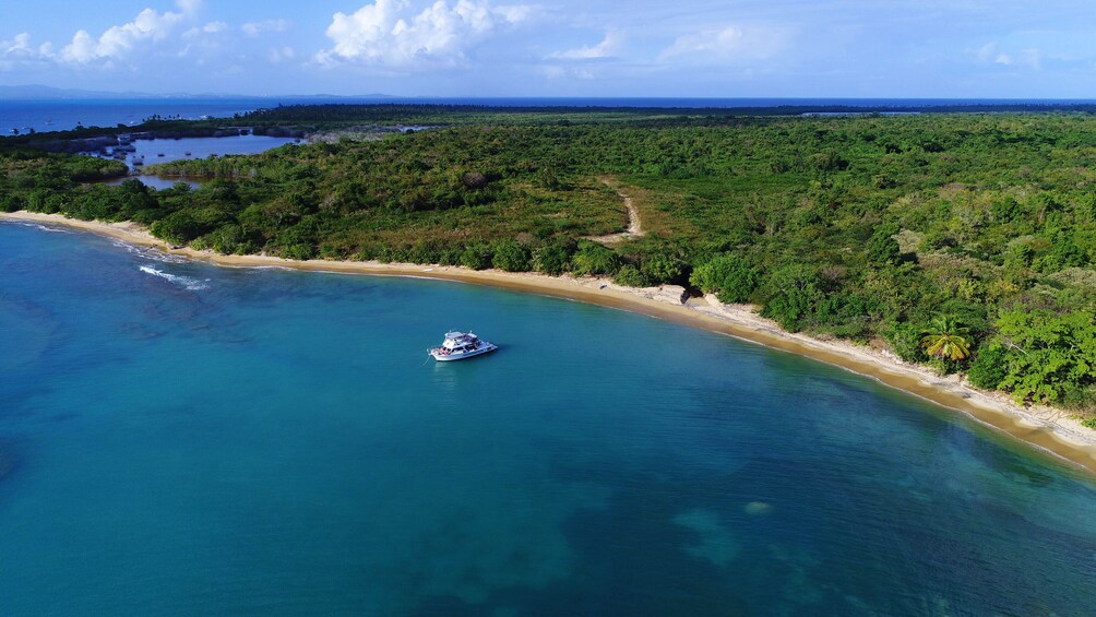 Vieques Island Snorkeling & Beach Tour