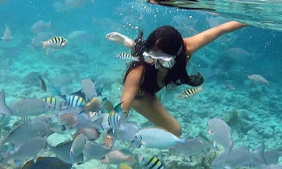 best snorkeling tours vieques