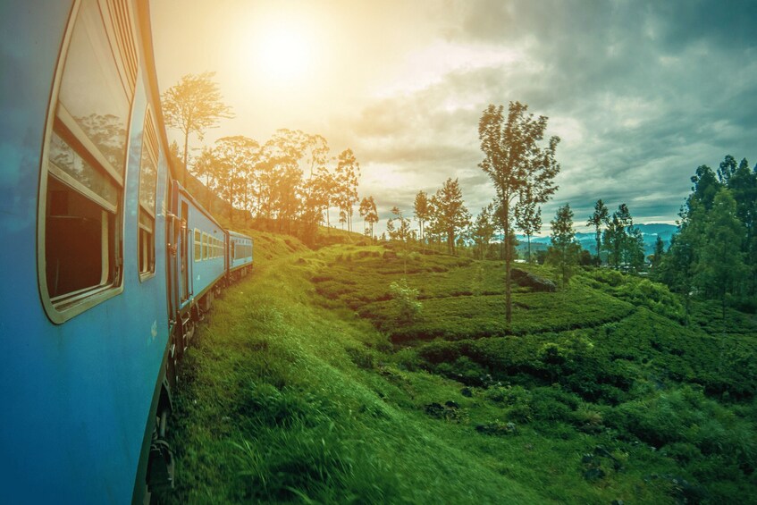 Picture 7 for Activity Colombo TukTuk Tour with Free Ella Train Experience