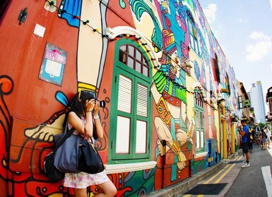 Singapur: Visita guiada a pie por Chinatown y Little India