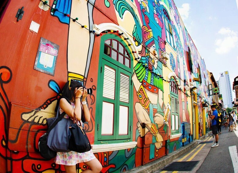 Singapore: Chinatown and Little India Guided Walking Tour