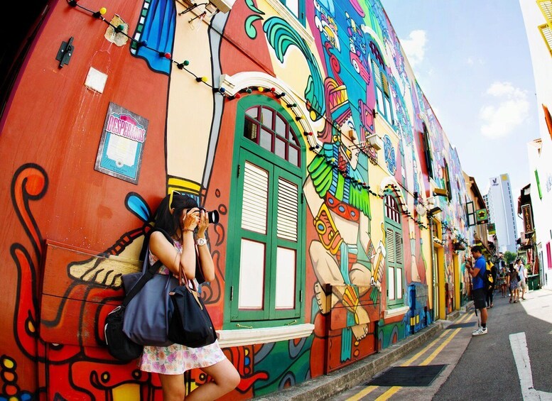 Singapore: Chinatown and Little India Guided Walking Tour