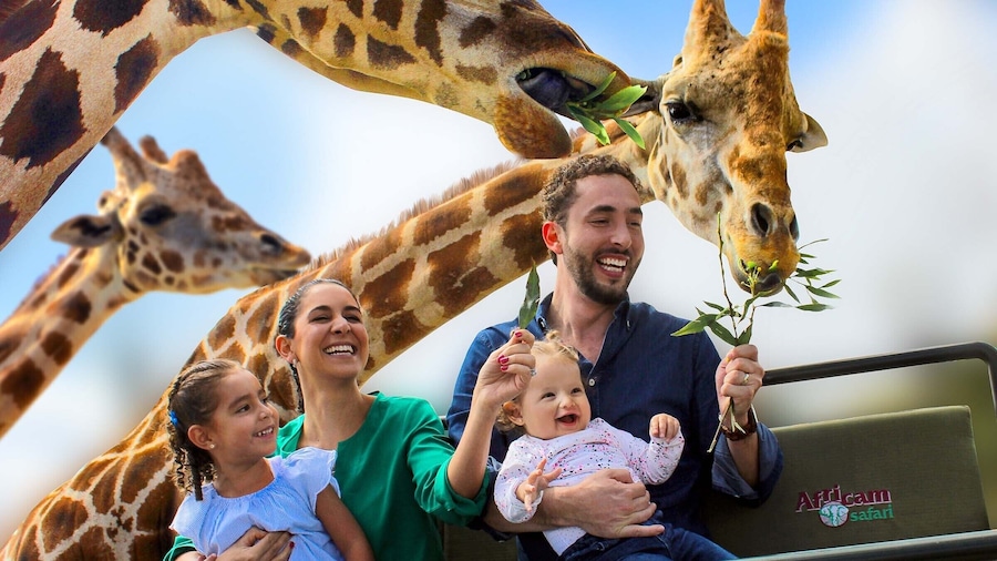 Visit Africam Safari Park, The Great Adventure!