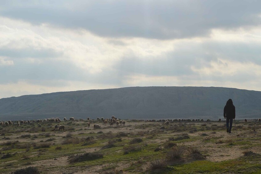 Picture 2 for Activity Gobustan, Mud Volcano, Burning Land and Fire Temple Tour