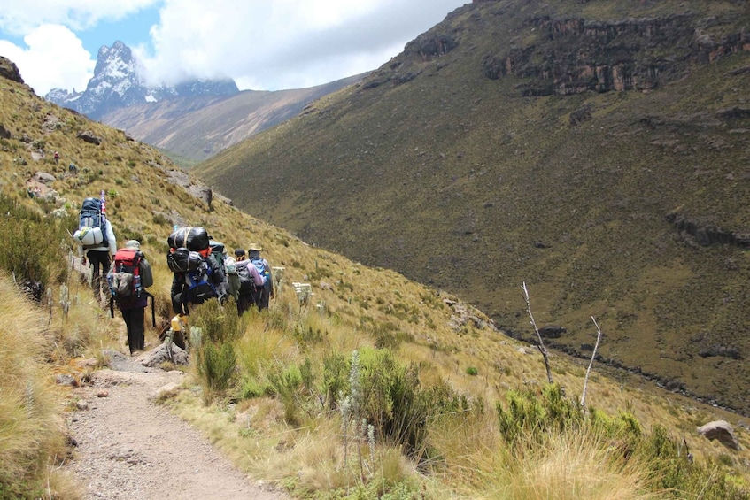 Picture 2 for Activity Private Mt. Kenya Hiking Tour