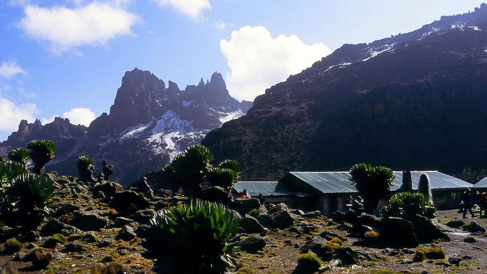 Picture 3 for Activity Private Mt. Kenya Hiking Tour