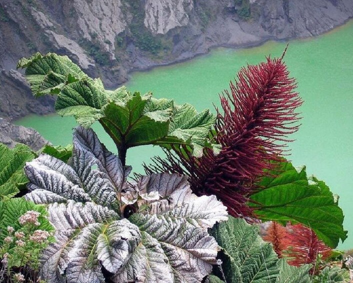 Picture 5 for Activity From San Jose: Irazu Volcano & Hacienda Orosi Hot Springs