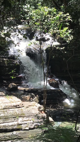 El Yunque Rainforest Guided Hiking with Waterfall Tour