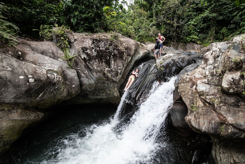 el yunque rainforest and waterfalls exclusive tour & transportation