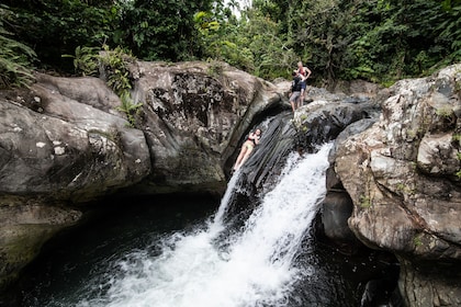 El Yunque Rainforest Guided Hiking with Waterfall Tour