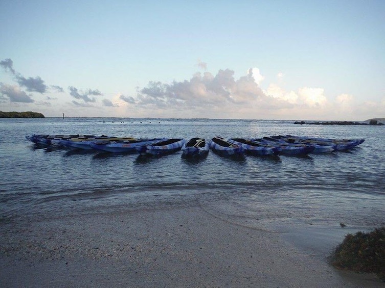 Bioluminescent Bay Kayak Adventure Tour