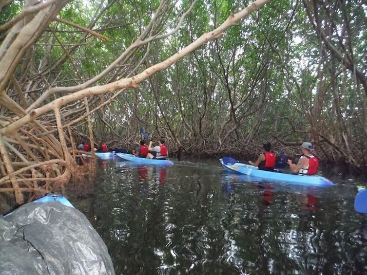 Bioluminescent Bay Kayak Adventure Tour