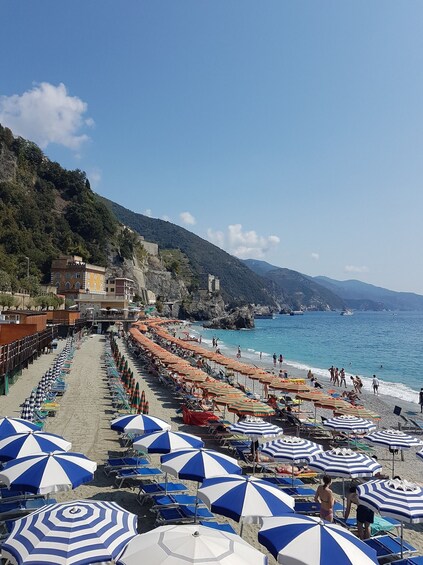 Picture 3 for Activity Cinque Terre: Private Walking tour through Villages
