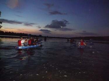 Bioluminescent Bay Glass Bottom Kayak Tour