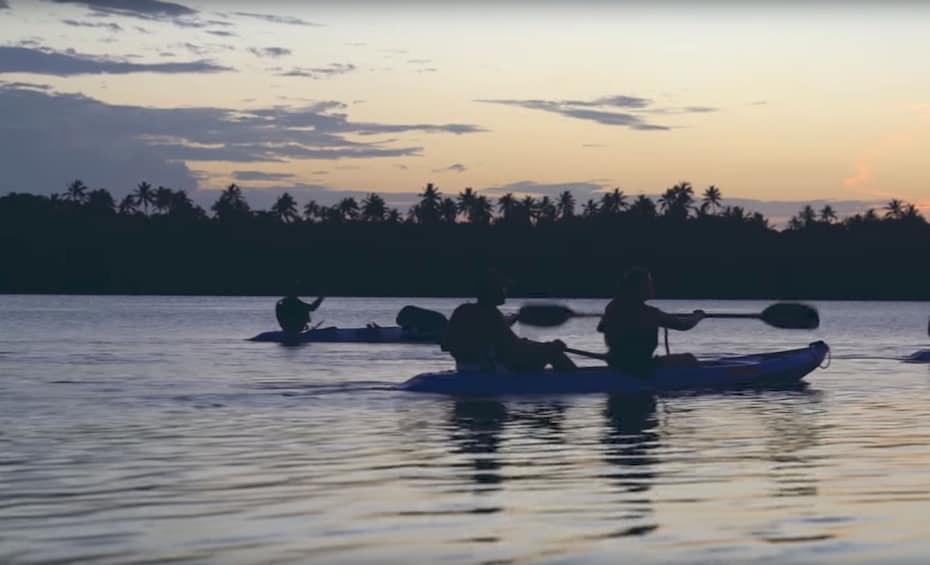 Bioluminescent Bay Glass Bottom Kayak Tour