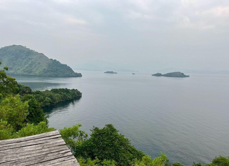 Picture 31 for Activity Lake Kivu Trip with a Hike and Coffee plantation experience