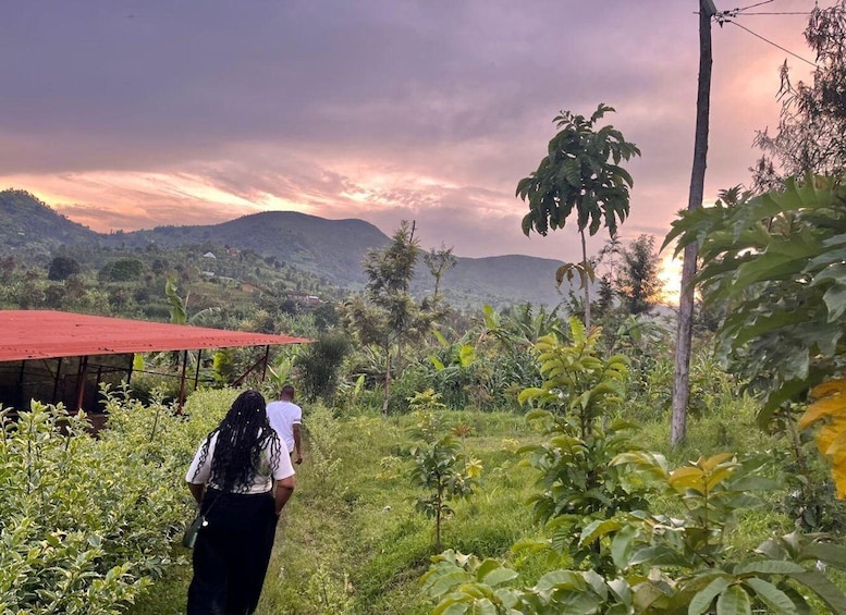 Picture 32 for Activity Lake Kivu Trip with a Hike and Coffee plantation experience