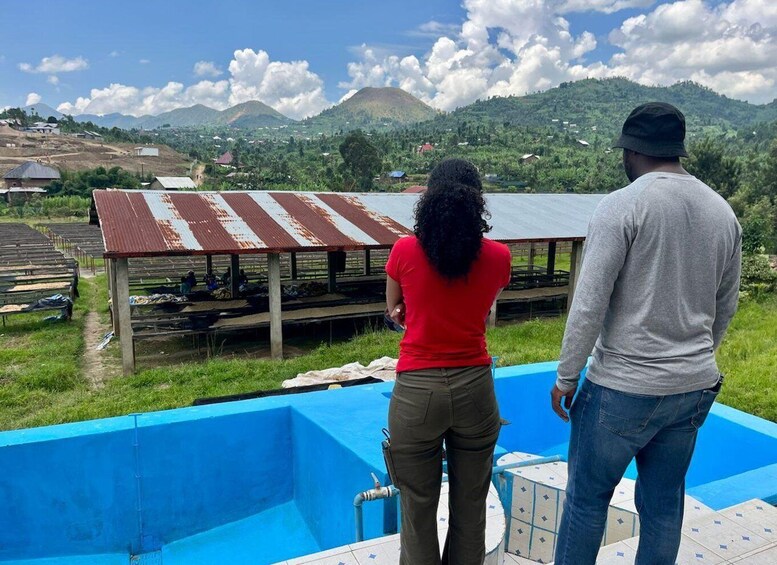 Picture 27 for Activity Lake Kivu Trip with a Hike and Coffee plantation experience