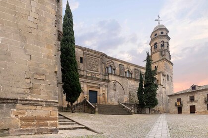 Baeza: Baeza Cathedral Entry Ticket