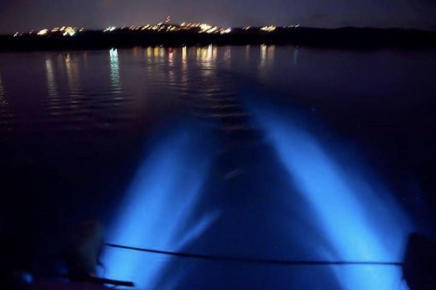La Parguera Glowing BioBay Boat Tour from San Juan