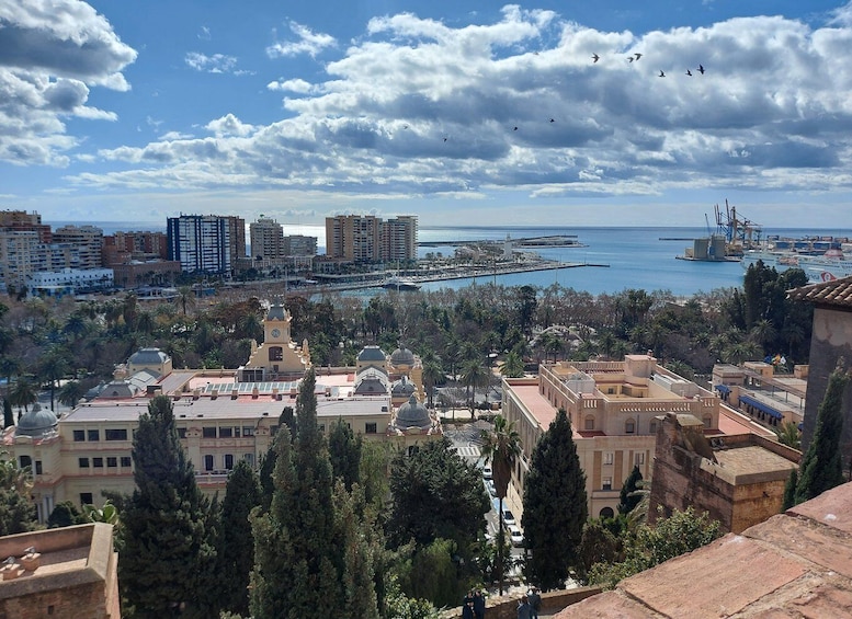 Picture 2 for Activity Private walking tour: Cathedral, Alcazaba and Roman Theatre