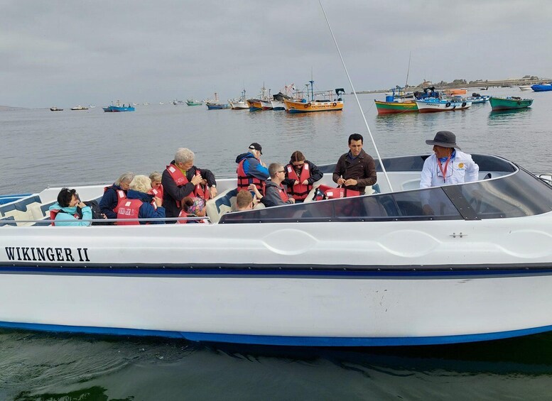 Picture 17 for Activity From TPP Paracas: Islands Tours & Paracas Natural Reserve