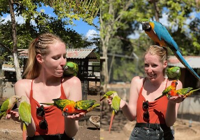 ฟาร์มสัตว์และนกพร้อมรถรับส่งส่วนตัว