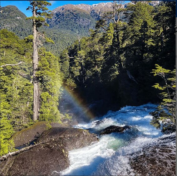 Picture 2 for Activity Crossing to Puerto Blest and Cascada de los Cántaros