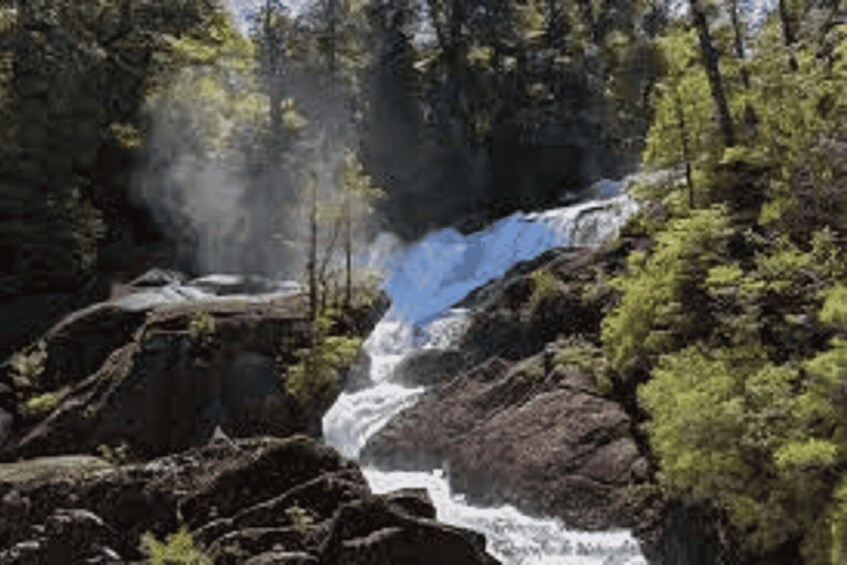 Picture 5 for Activity Crossing to Puerto Blest and Cascada de los Cántaros