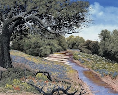 Art Tour of Salado