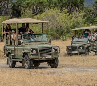 3 Day Honeymoon Safari Zanzibar to Nyerere NP By Flight